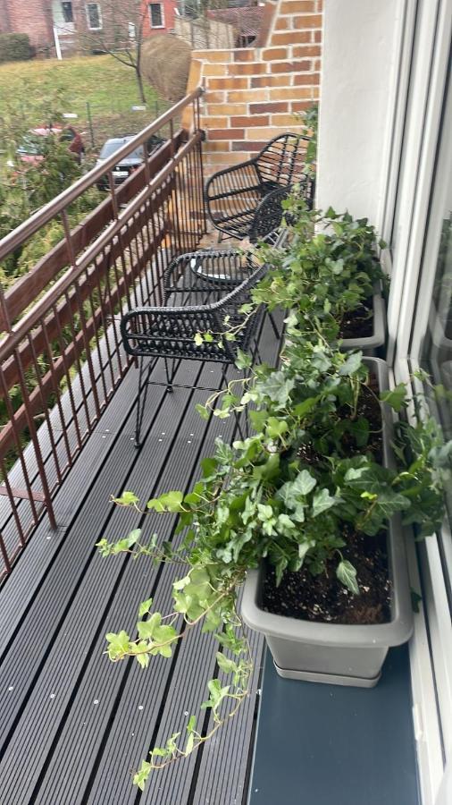 Apartament Boho 米兹多洛杰 外观 照片