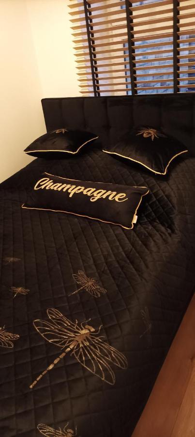 Apartament Boho 米兹多洛杰 外观 照片